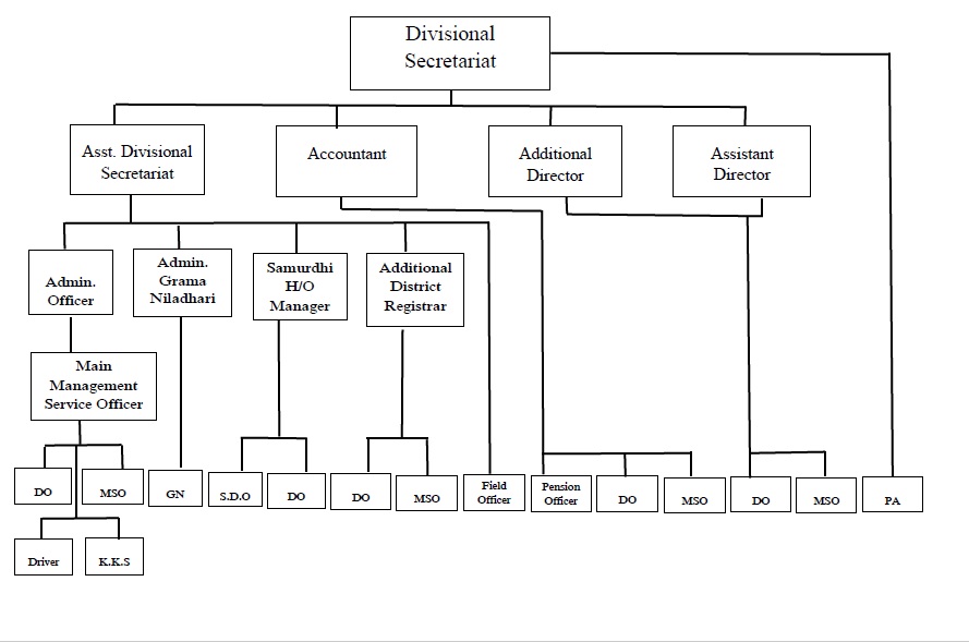 Organizational Chart English